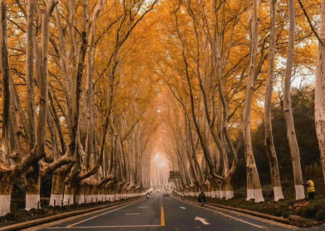du lịch Trung Quốc, tour Trung Quốc 5N4Đ, Nam Kinh, Ô Trấn, Thượng Hải, tour du lịch Trung Quốc trọn gói, hành trình khám phá Trung Quốc, du lịch văn hóa Trung Quốc, tour Trung Quốc uy tín, KNV tour Trung Quốc, trải nghiệm Trung Quốc cổ kính, khám phá Trung Quốc hiện đạI