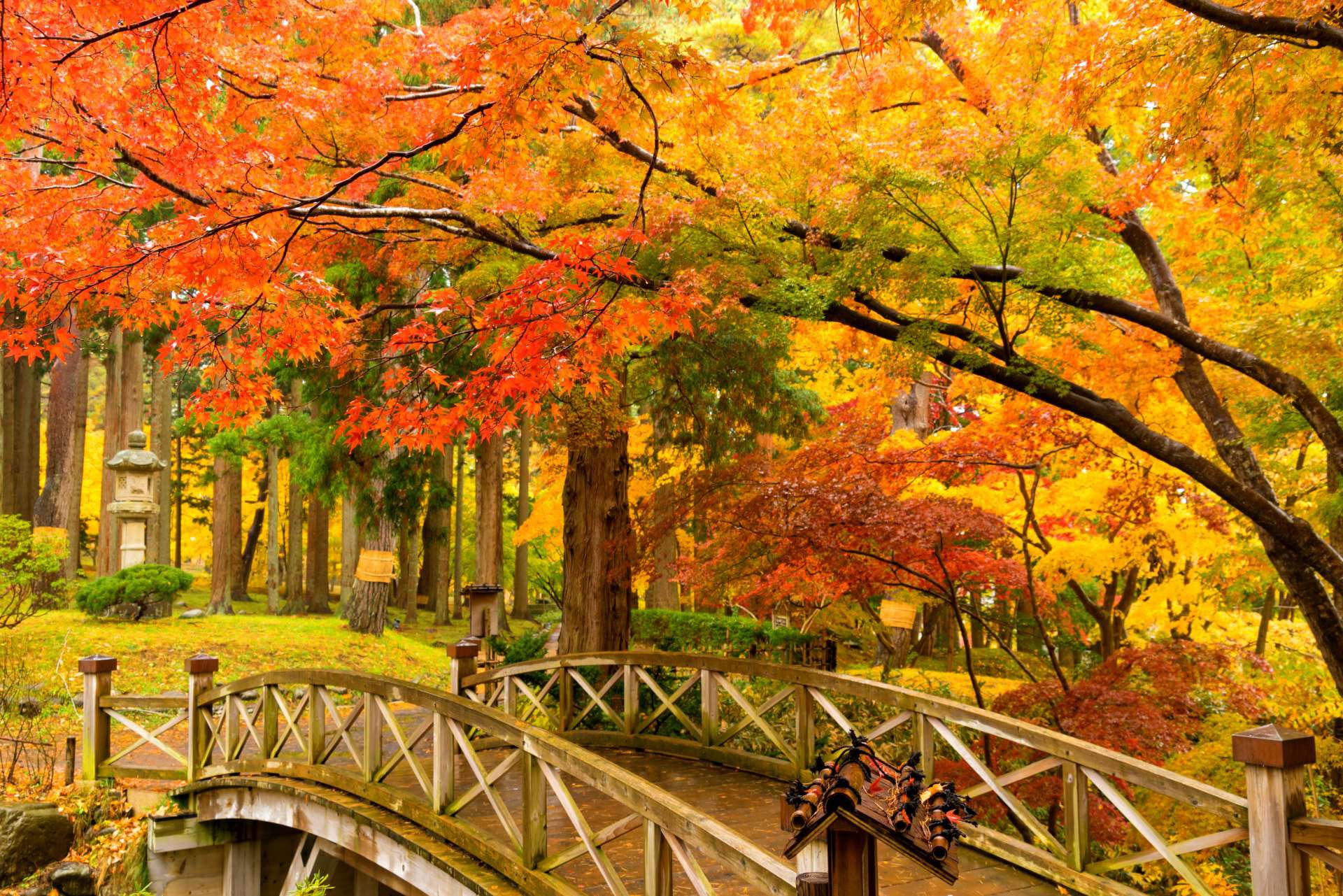 tour Hokkaido, tour Hokkaido tháng 10, tour Nhật Bản Hokkaido, du lịch Hokkaido, du lịch Hokkaido mùa lá đỏ, tour Nhật Bản mùa thu, tour Nhật Bản lá đỏ, tour Hokkaido ngắm lá đỏ, tour Hokkaido giá tốt, tour Hokkaido trọn gói, tour Hokkaido từ TP.HCM, du lịch Nhật Bản tháng 10, Hokkaido có gì đẹp, mùa lá đỏ Hokkaido, Hokkaido tháng 10 nên đi đâu, lịch trình tour Hokkaido